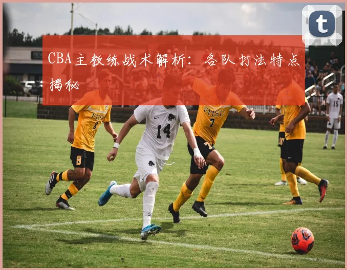 CBA主教练战术解析:各队打法特点揭秘